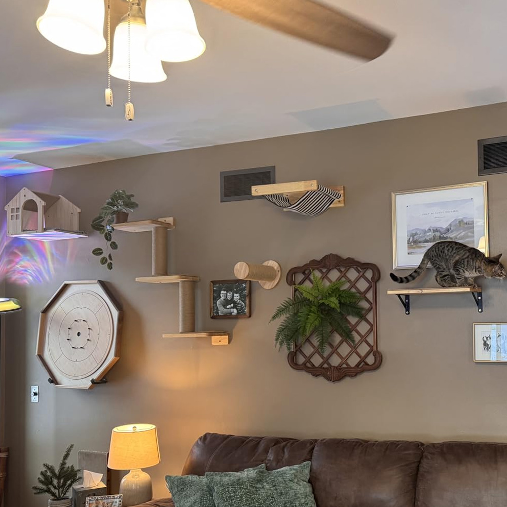 Furniture Paradise & Hardware Ghaziabad Photos - Kedi Mobilyası Masif Ahşap Asma Köprü