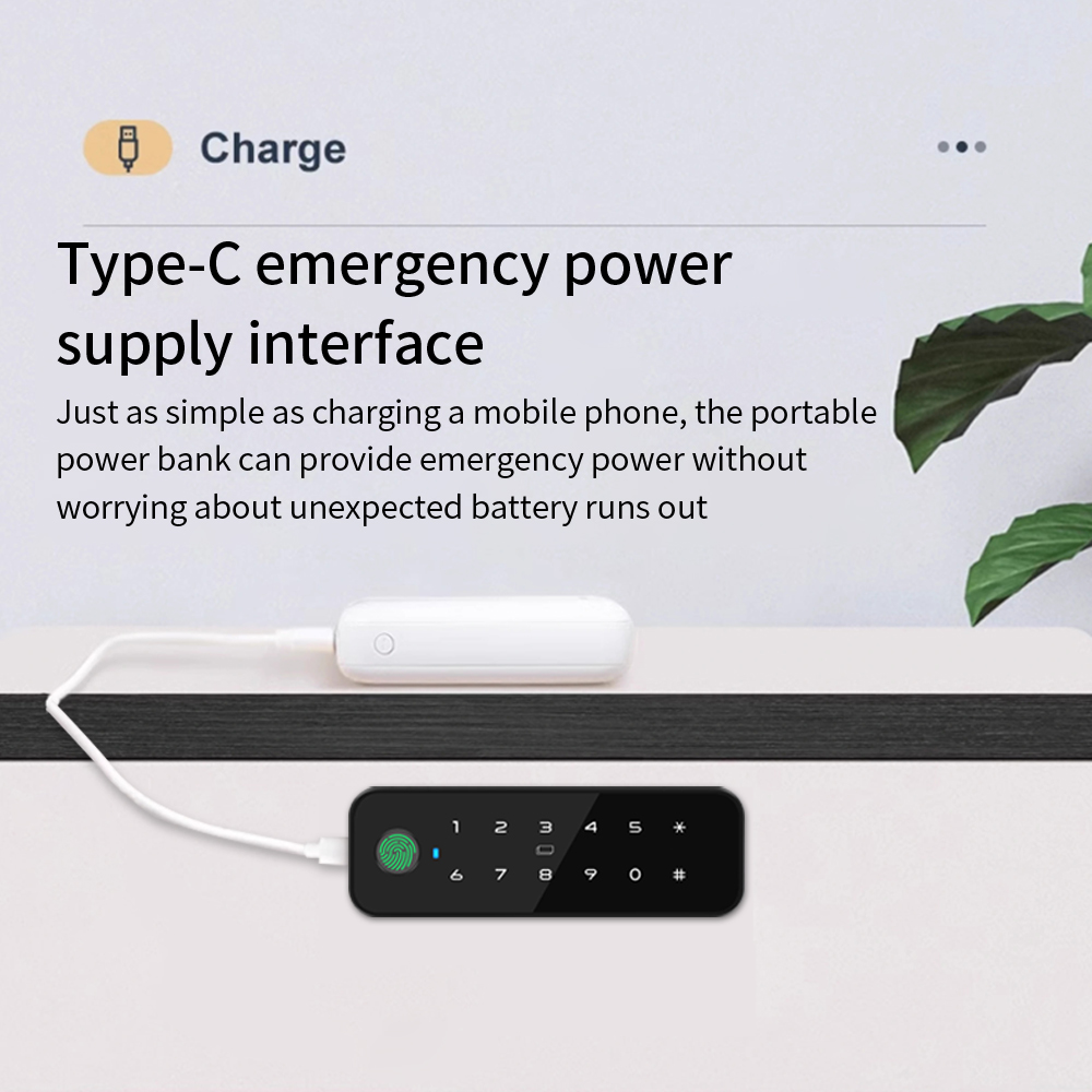 Tuya Bluetooth Akıllı Ahşap Do - Cabinet Lock Key incelemesi ve fiyatı