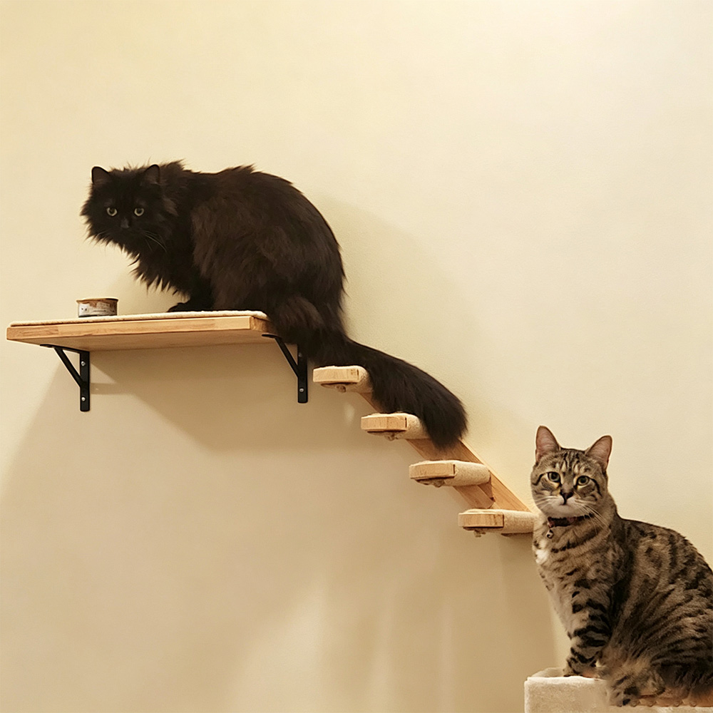 Kedi Mobilyası Masif Ahşap Asm - Furniture Paradise & Hardware Ghaziabad Photos incelemesi ve fiyatı