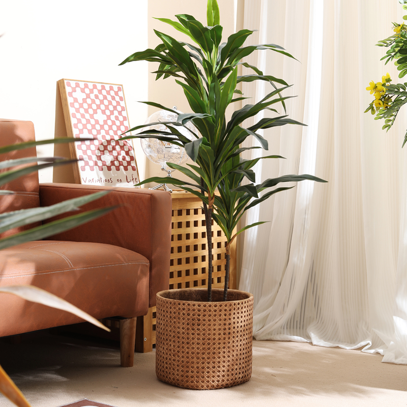 Küçük boyutlu daireler için mo - Furniture Paradise & Hardware Ghaziabad Photos incelemesi ve fiyatı